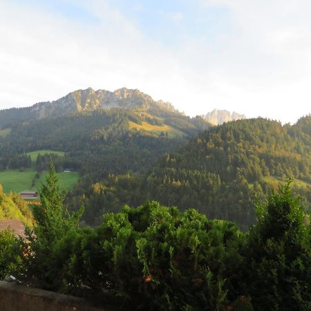 Chalet Erica Jaun Dış mekan fotoğraf