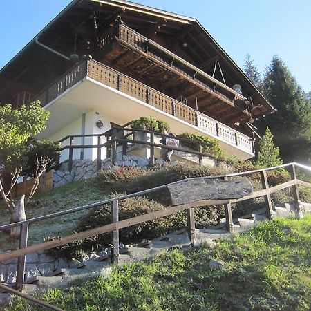 Chalet Erica Jaun Dış mekan fotoğraf