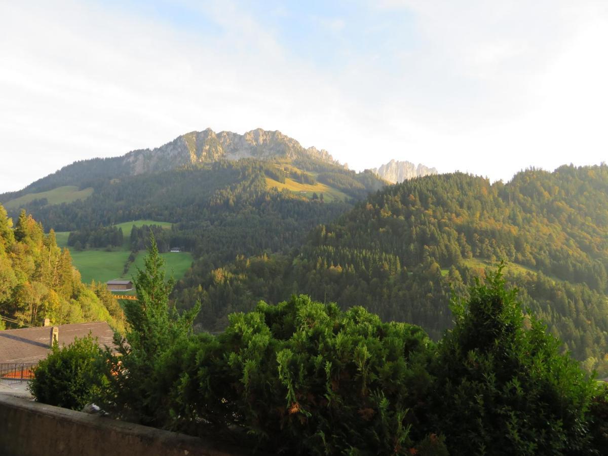 Chalet Erica Jaun Dış mekan fotoğraf