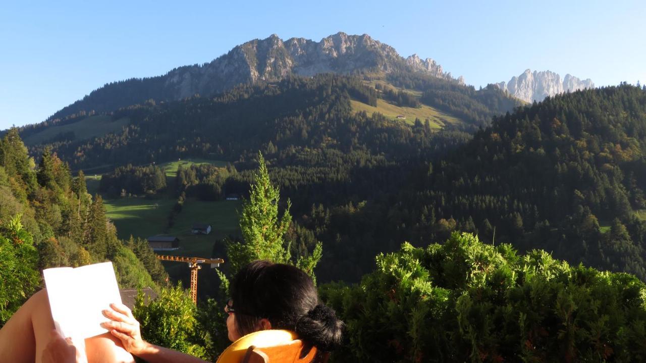 Chalet Erica Jaun Dış mekan fotoğraf