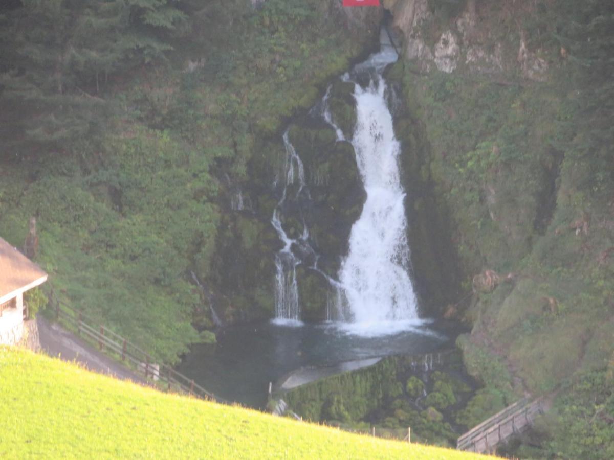 Chalet Erica Jaun Dış mekan fotoğraf