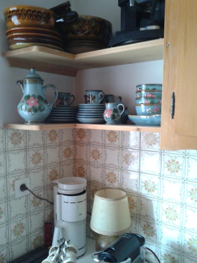 Chalet Erica Jaun Dış mekan fotoğraf