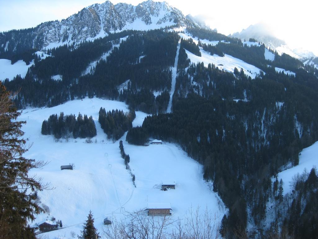Chalet Erica Jaun Oda fotoğraf