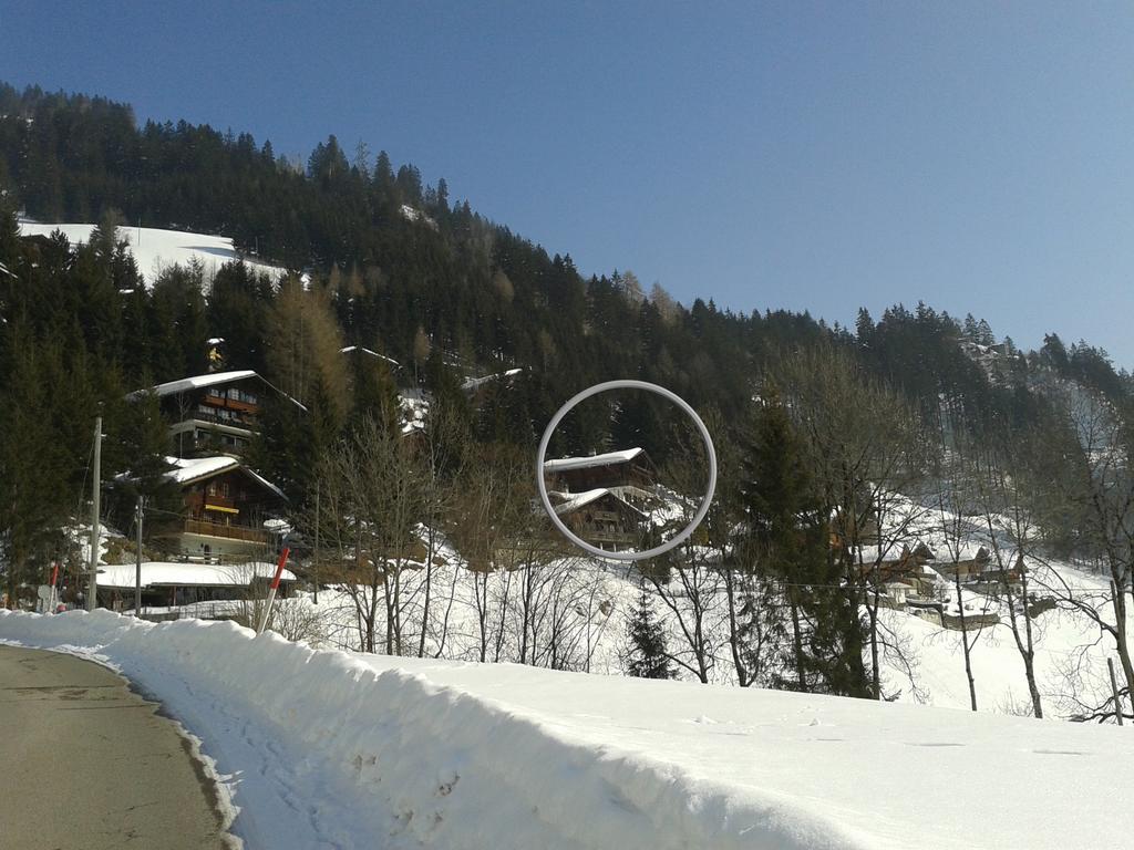 Chalet Erica Jaun Dış mekan fotoğraf