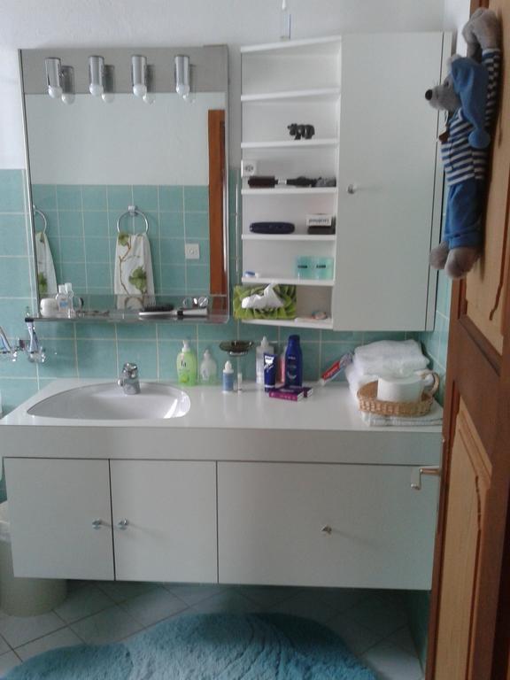 Chalet Erica Jaun Dış mekan fotoğraf