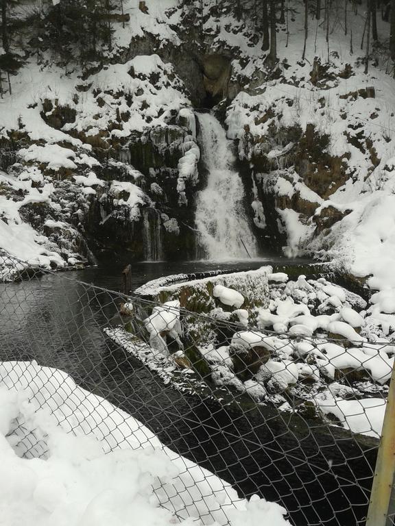 Chalet Erica Jaun Dış mekan fotoğraf