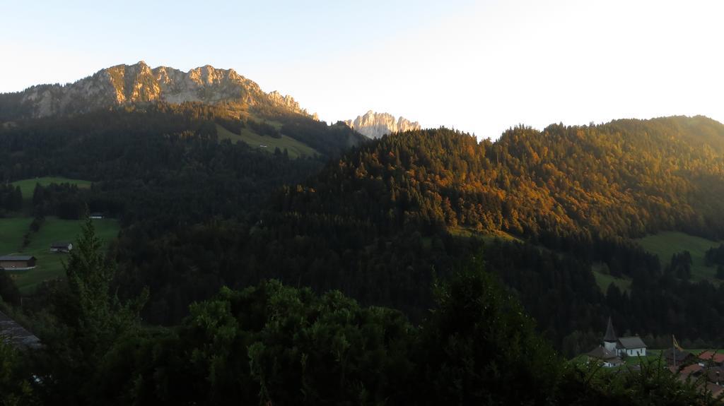 Chalet Erica Jaun Dış mekan fotoğraf