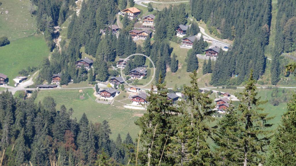 Chalet Erica Jaun Dış mekan fotoğraf