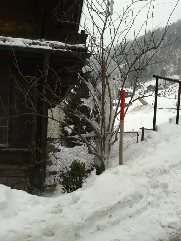 Chalet Erica Jaun Dış mekan fotoğraf