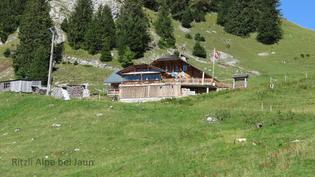 Chalet Erica Jaun Dış mekan fotoğraf