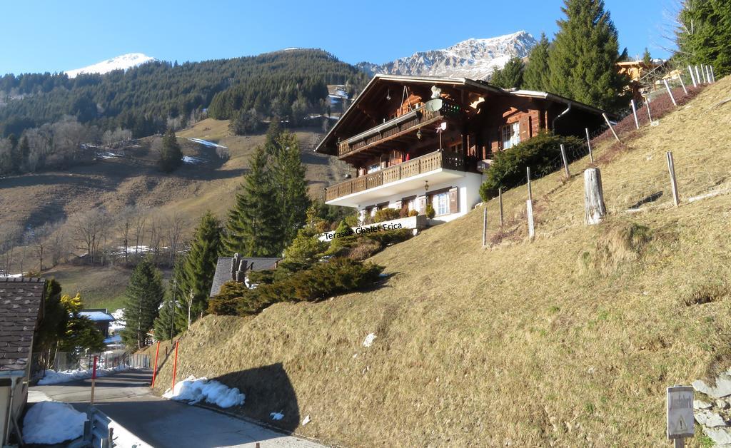 Chalet Erica Jaun Dış mekan fotoğraf