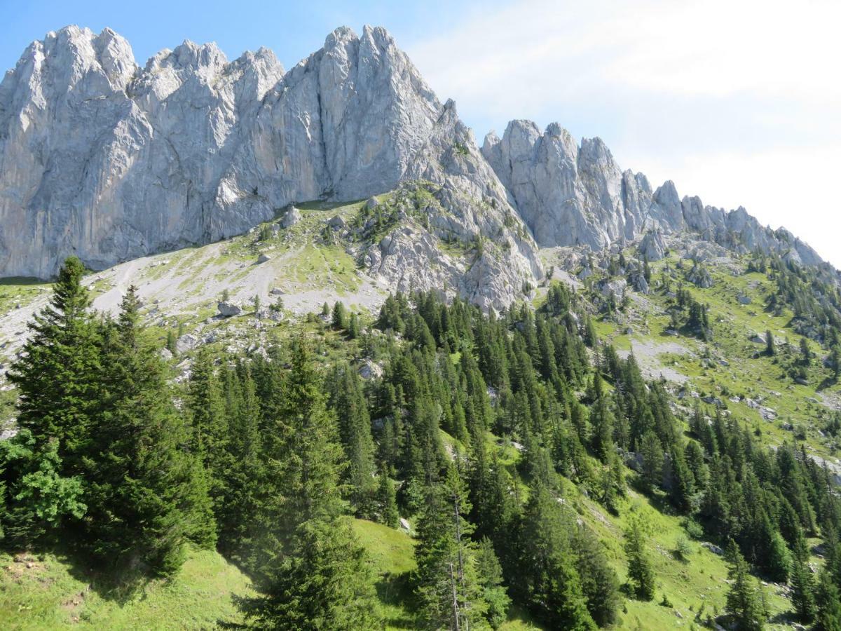 Chalet Erica Jaun Dış mekan fotoğraf